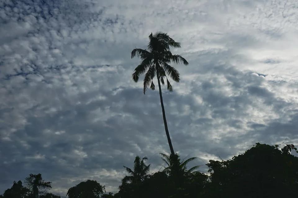 Mentawai Tour journey photograph 073
