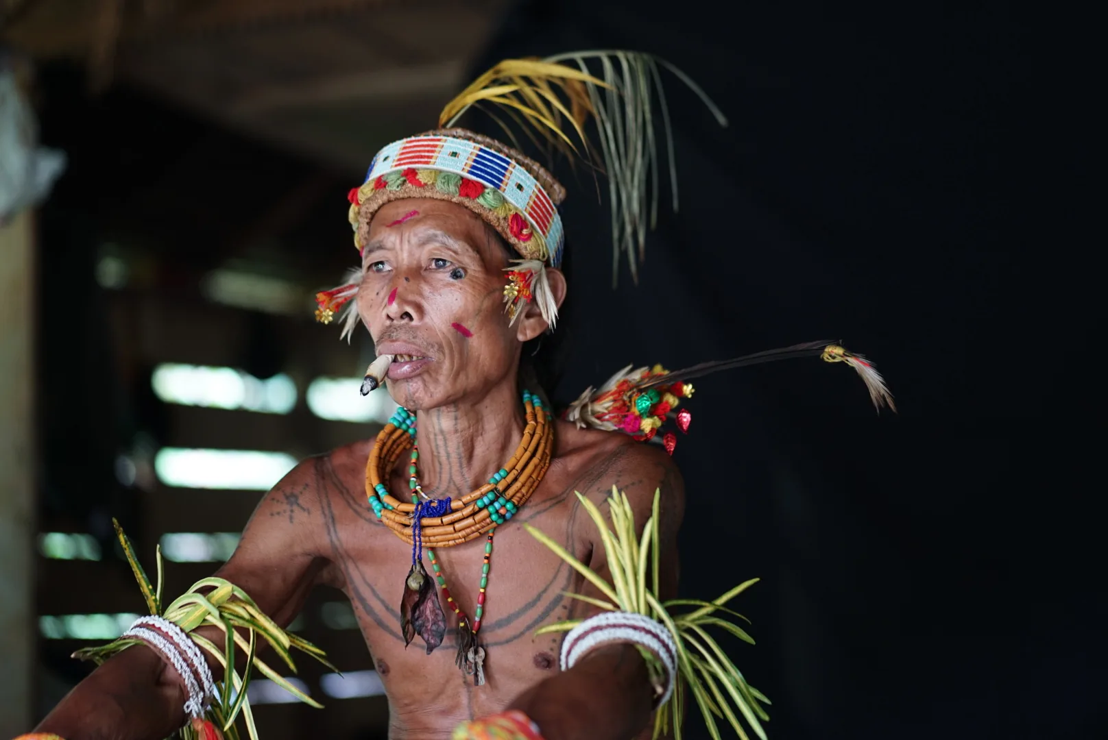 Mentawai Tour journey photograph 088