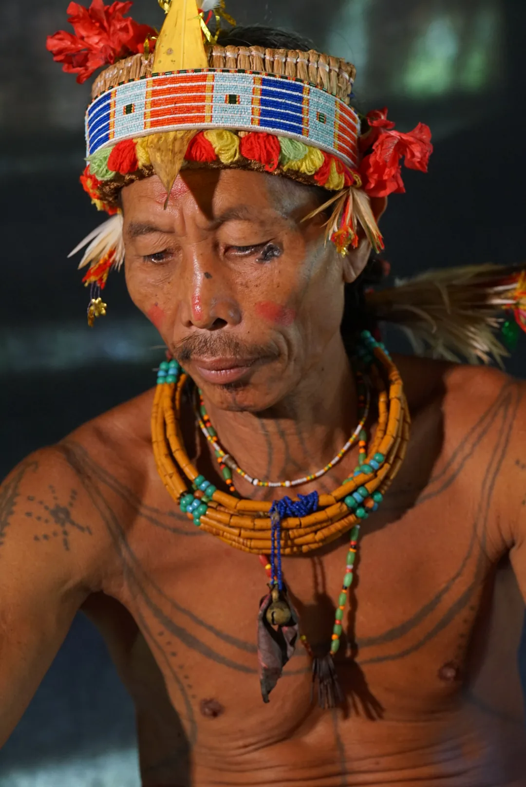 Photography and cultural life in Mentawai